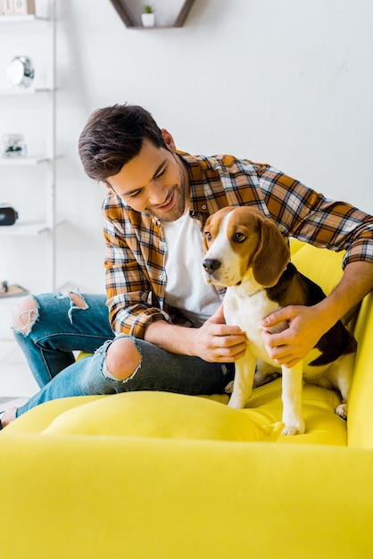 Bel homme passant du temps avec un chien beagle sur un canapé à la maison