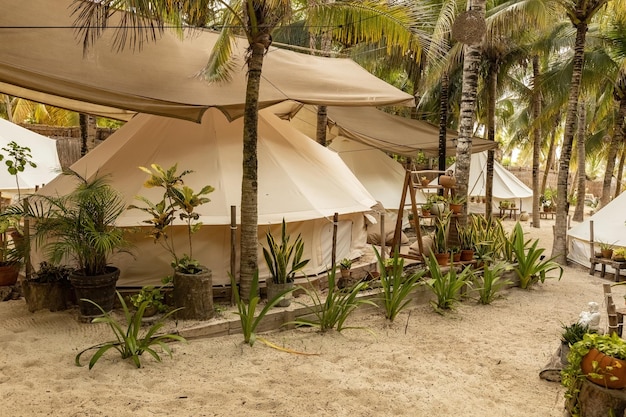 Bel hôtel ou auberge mexicaine de tentes de plage. Tentes dans la jungle décorées de plantes et de fleurs