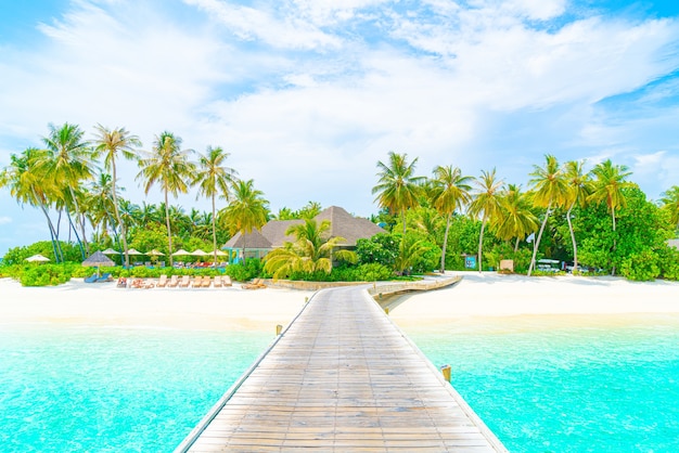 Bel hôtel de villégiature tropical aux Maldives et île avec plage et mer, vacances concep