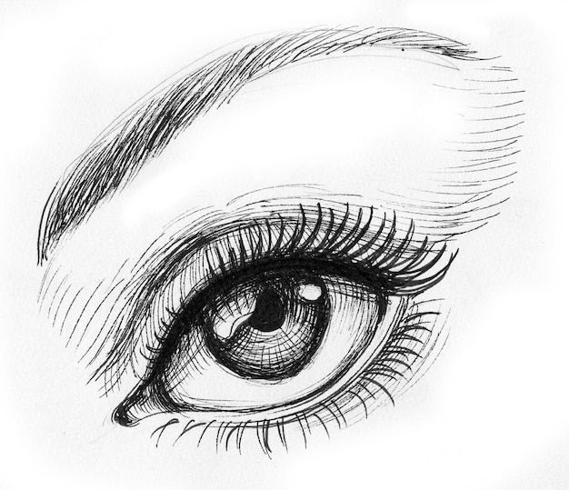 Bel oeil féminin. Dessin noir et blanc à l'encre