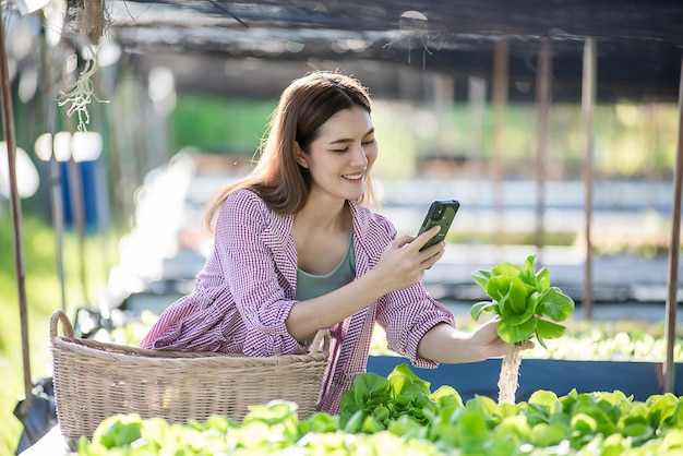 Belle agricultrice vérifiant la qualité et la quantité de légumes hydroponiques biologiques