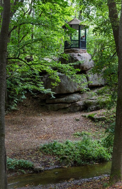 Belle altanka dans le parc sur les rochers