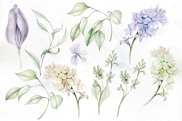 Belle aquarelle tendre sertie de différentes fleurs et feuilles IllustrationxAxA