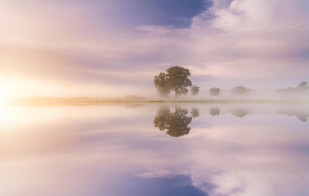 Photo belle aube brumeuse au printemps sur la rivière