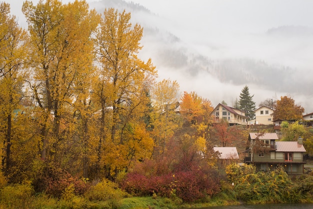 Belle d&#39;automne