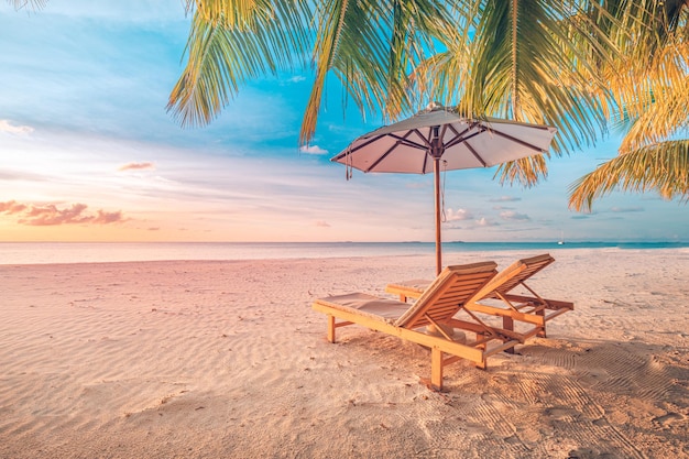 Belle bannière de plage au coucher du soleil Coco palmiers de sable blanc voyage tourisme large concept de fond de panorama