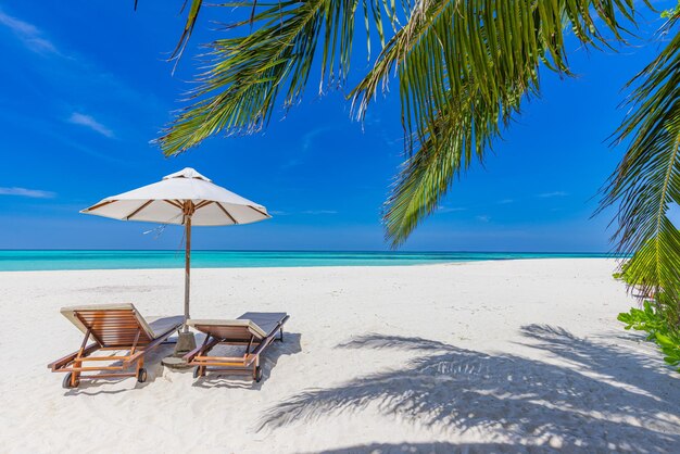 Belle bannière de plage tropicale. Sable blanc cocotiers chaises parasol voyage panorama paysage