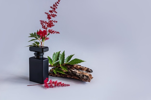 Belle bouteille de parfum pour hommes ou d'eau de toilette sur fond gris avec fleurs et écorce d'arbre Une mise en page vierge pour la présentation du produit