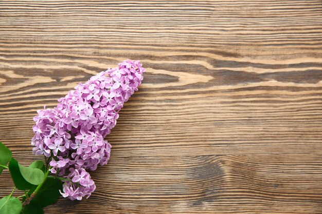 Belle branche de fleurs lilas sur fond de bois