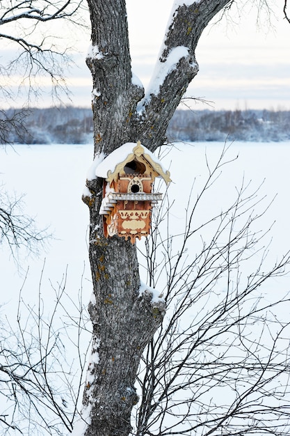 Belle cabane à oiseaux sur l'arbre