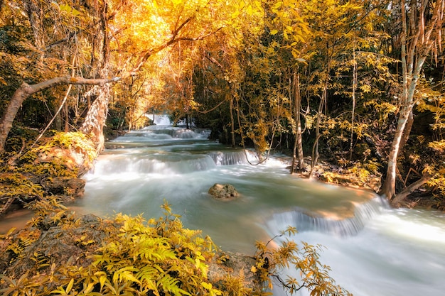 Belle cascade d'automne dans la forêt tropicale