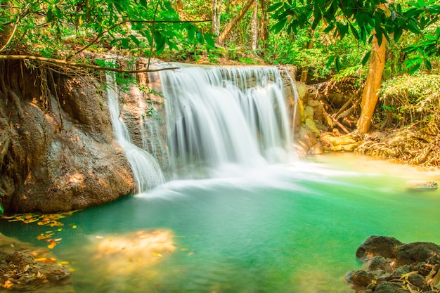 Belle cascade dans la forêt profonde