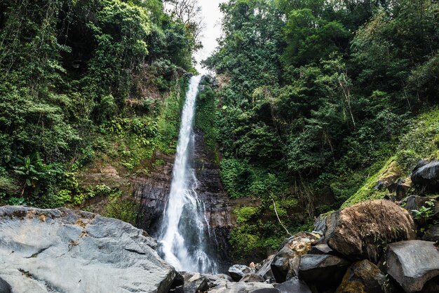 Belle cascade dans la forêt tropicale, Bali, Ubud