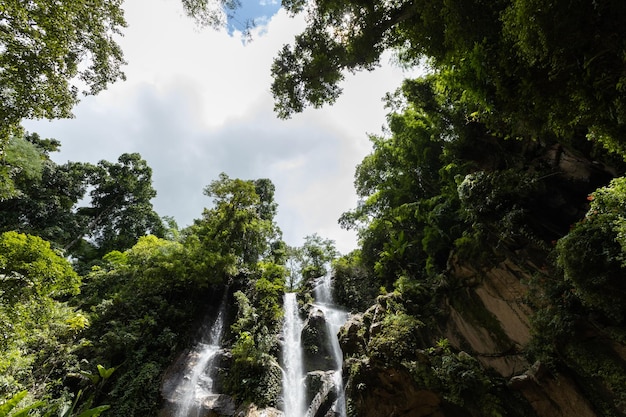 Belle cascade dans la forêt tropicale Mok Fa Waterfell Changmai Thaïlande