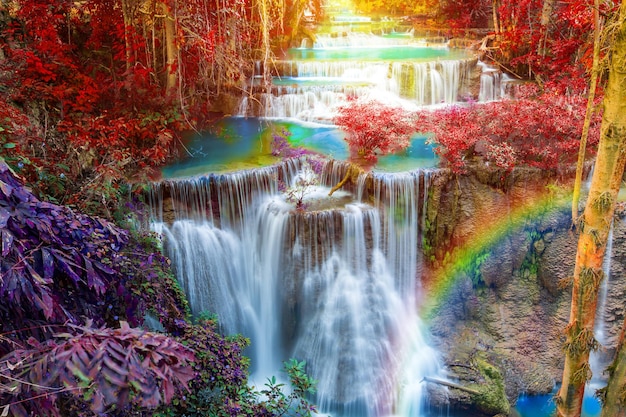 belle cascade dans la forêt tropicale profonde