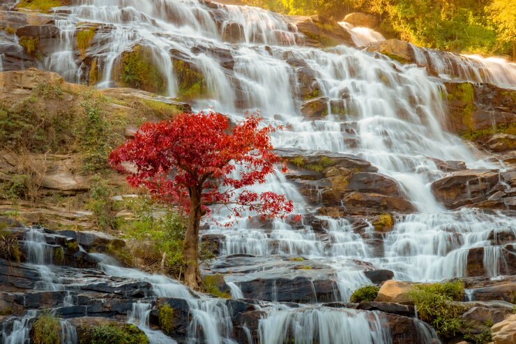 Photo belle cascade dans la forêt tropicale
