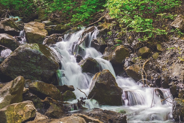 Belle cascade dans la forêt verte