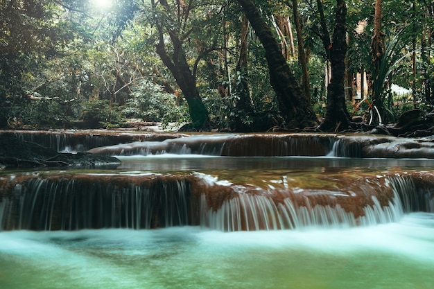 Belle cascade dans la forêt verte