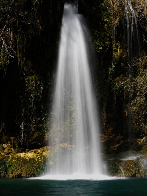 Photo une belle cascade dans la forêt