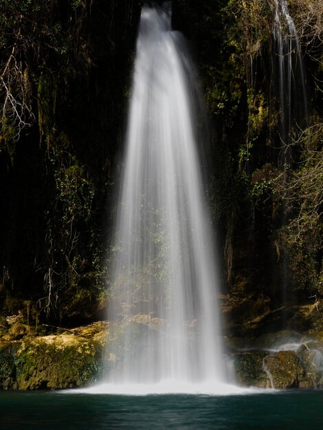 une belle cascade dans la forêt