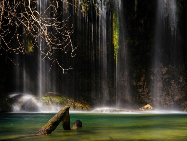 une belle cascade dans la forêt