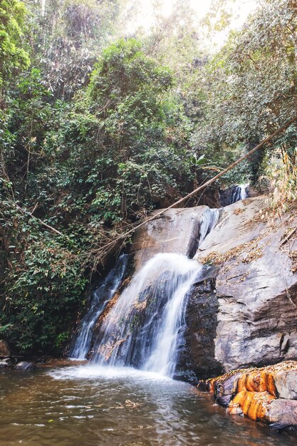 Une Belle Cascade Dans La Jungle Tropicale