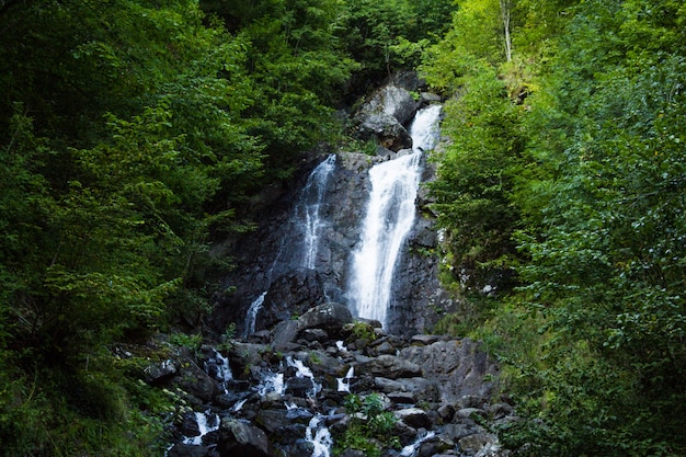 Belle cascade dans les montagnes de la forêt.