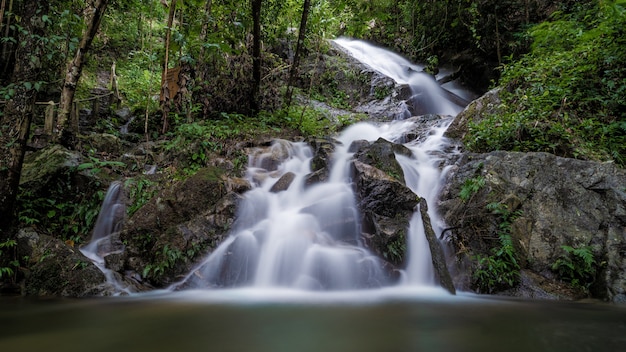 Belle cascade de falaise