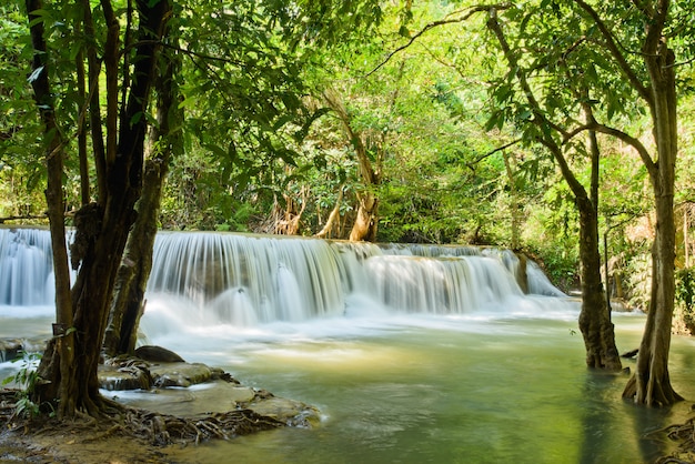 belle cascade, fond de forêt, paysage