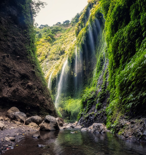 Belle cascade de Madakaripura qui coule dans une vallée verdoyante