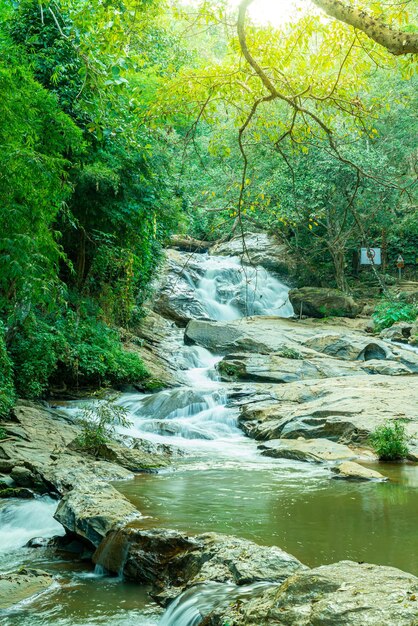 Belle cascade de Mae Sa à Chiang Mai, Thaïlande