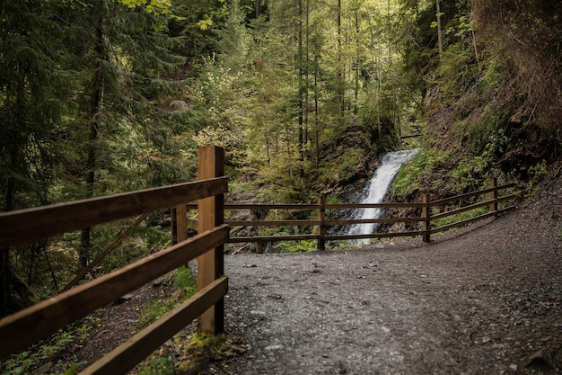 Belle cascade sur les montagnes des Carpates