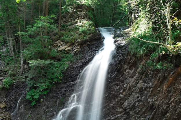 Belle cascade panoramique de la forêt profonde