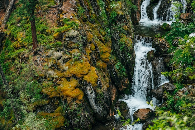 Belle cascade parmi une végétation riche