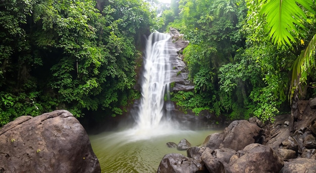 Belle cascade tombant sur une rivière dans une forêt verte en haute résolution