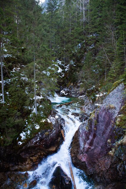 Belle cascade Wodogrzmoty Mickiewicza dans les Tatras polonaises près de Zakopane Im Pologne.