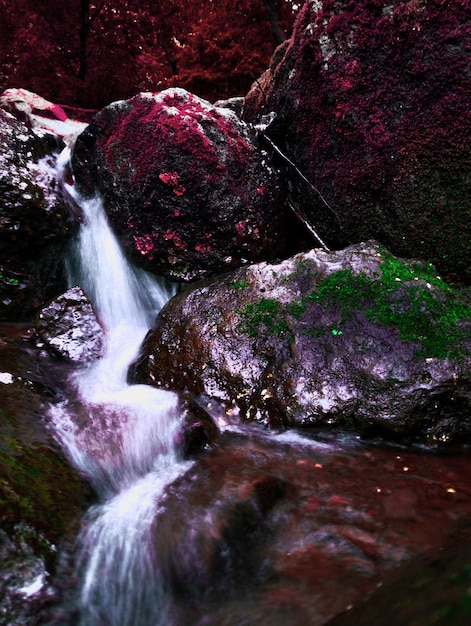 Belle chute d'eau belle descendant des montagnes