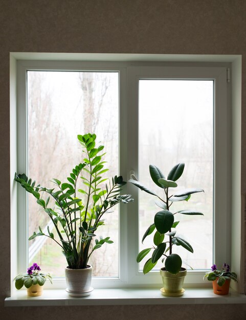 belle composition de fleurs debout sur la fenêtre de l'appartement