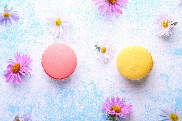 Belle composition avec macarons et fleurs sur fond bleu. Vue de dessus