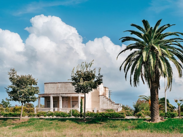 Une belle et confortable maison près d'un palmier à louer ou à vendre Faites un excellent bien locatif