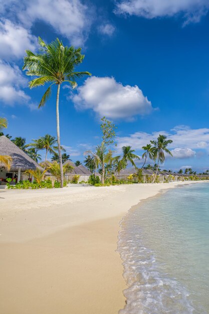Belle côte de l'île tropicale avec des villas de plage sous les palmiers et un ciel bleu ensoleillé. Voyage exotique