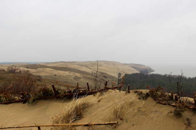 Belle côte de la mer Baltique et dunes de sable