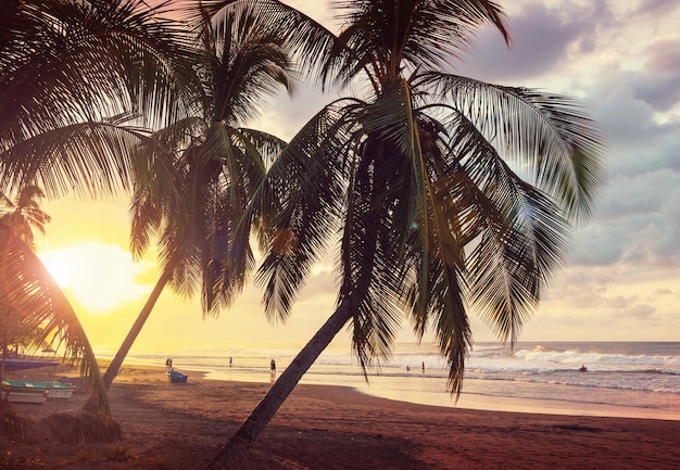 Belle côte tropicale de l'océan Pacifique au Costa Rica