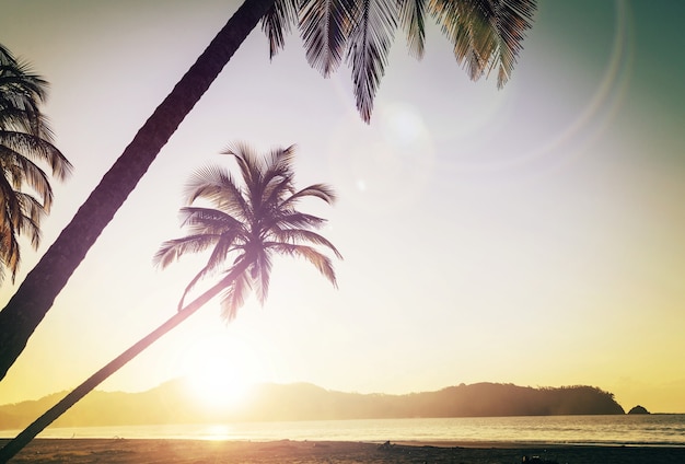 Belle côte tropicale de l'océan Pacifique au Costa Rica