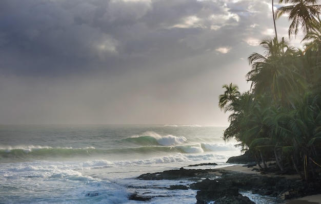 Belle côte tropicale de l'océan Pacifique au Costa Rica