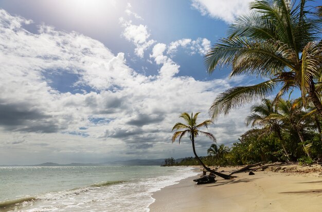 Belle côte tropicale de l'océan Pacifique au Costa Rica