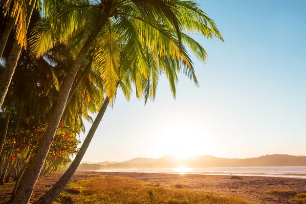 Belle côte tropicale de l'océan Pacifique au Costa Rica