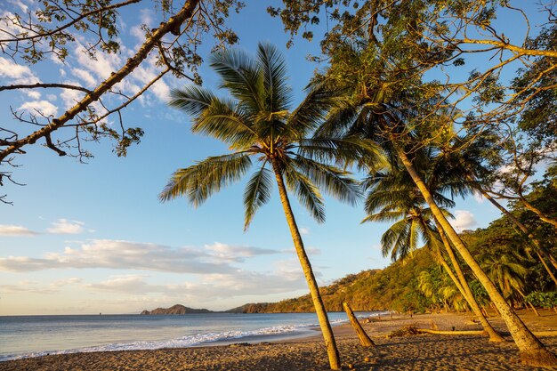 Belle côte tropicale de l'océan Pacifique au Costa Rica