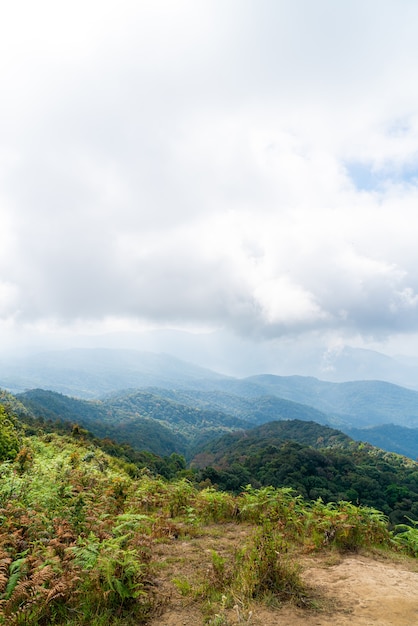 Belle couche de montagne avec nuages et ciel bleu à Kew Mae Pan Nature Trail à Chiang Mai, Thaïlande