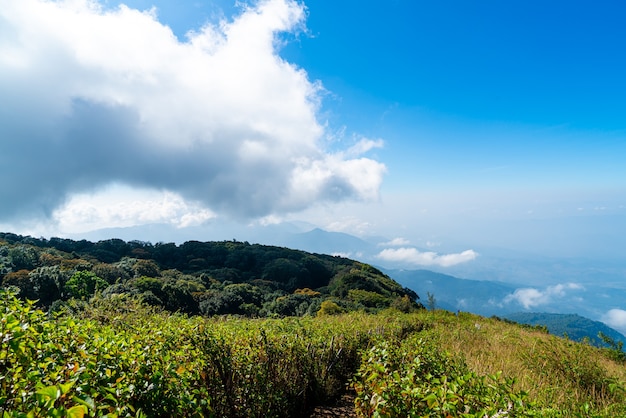 Belle couche de montagne avec nuages et ciel bleu à Kew Mae Pan Nature Trail à Chiang Mai, Thaïlande